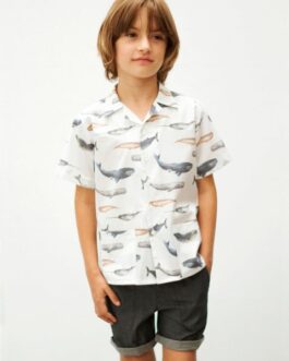 Boys Shirt